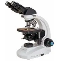 Binocular microscope